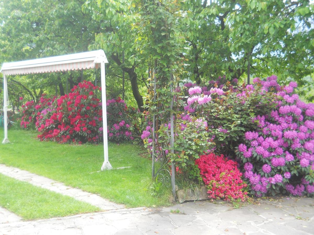 Albergo Negritella Borgo Valsugana Eksteriør billede